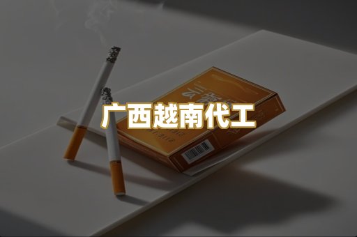 广西越南代工